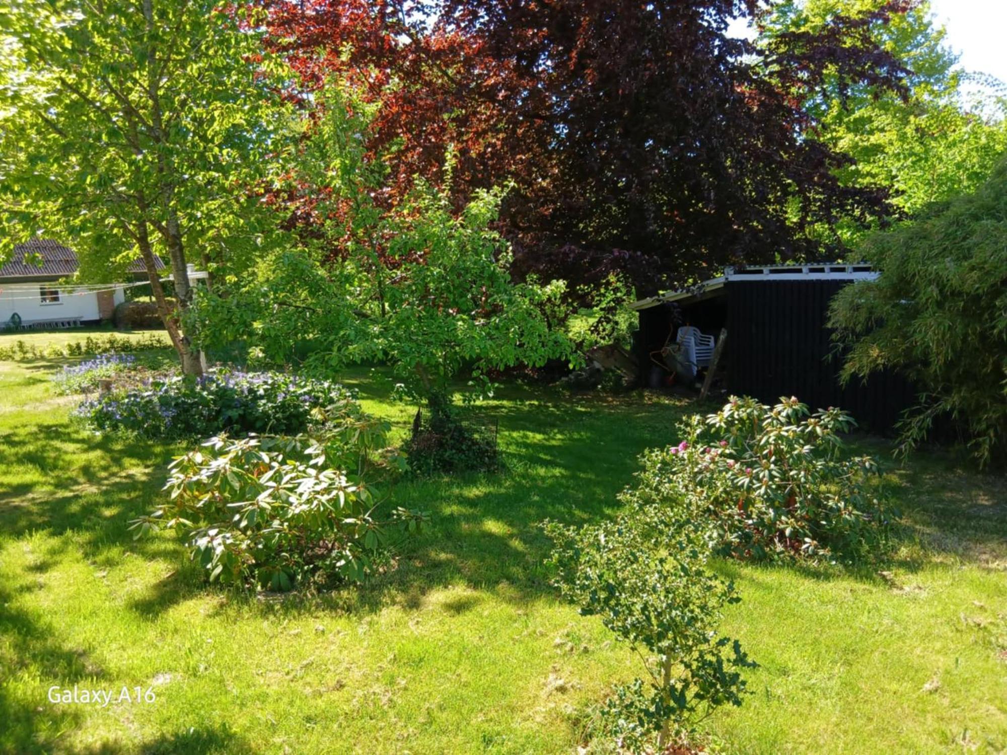 Sommerhus Med Anneks Ved Limfjorden Roslev ภายนอก รูปภาพ